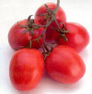 tomate3.jpg